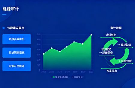 赤城能源审计报告